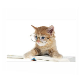 Бумага для упаковки 3D с принтом Кот в очках в Кировске, пластик и полированная сталь | круглая форма, металлическое крепление в виде кольца | Тематика изображения на принте: домашнее | животное | книга | кот | кот в очках | котэ | очки | прикол | умный | ученый | читает