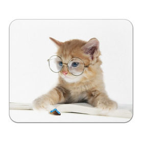 Коврик прямоугольный с принтом Кот в очках в Кировске, натуральный каучук | размер 230 х 185 мм; запечатка лицевой стороны | Тематика изображения на принте: домашнее | животное | книга | кот | кот в очках | котэ | очки | прикол | умный | ученый | читает