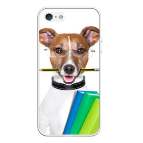 Чехол силиконовый для Телефон Apple iPhone 5/5S с принтом Ученый пес в Кировске, Силикон | Область печати: задняя сторона чехла, без боковых панелей | домашнее | животное | карандаш | книги | очки | ошейник | пес | прикол | собака в очках | умный | ученый