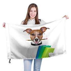 Флаг 3D с принтом Ученый пес в Кировске, 100% полиэстер | плотность ткани — 95 г/м2, размер — 67 х 109 см. Принт наносится с одной стороны | домашнее | животное | карандаш | книги | очки | ошейник | пес | прикол | собака в очках | умный | ученый