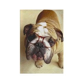 Обложка для паспорта матовая кожа с принтом Бульдог в очках в Кировске, натуральная матовая кожа | размер 19,3 х 13,7 см; прозрачные пластиковые крепления | Тематика изображения на принте: бульдог в очках | домашнее | животное | очки | пес | прикол | собака | умный | ученый