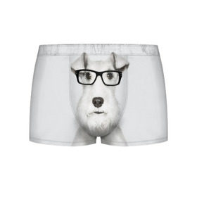Мужские трусы 3D с принтом Собака в очках в Кировске, 50% хлопок, 50% полиэстер | классическая посадка, на поясе мягкая тканевая резинка | Тематика изображения на принте: белый | домашнее | животное | очки | пес | прикол | собака в очках | умный | ученый | эрдельтерьер