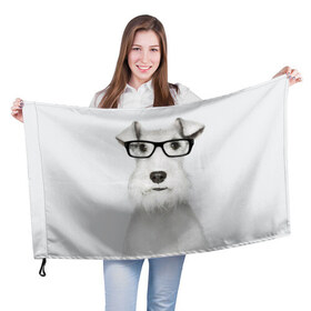 Флаг 3D с принтом Собака в очках в Кировске, 100% полиэстер | плотность ткани — 95 г/м2, размер — 67 х 109 см. Принт наносится с одной стороны | белый | домашнее | животное | очки | пес | прикол | собака в очках | умный | ученый | эрдельтерьер