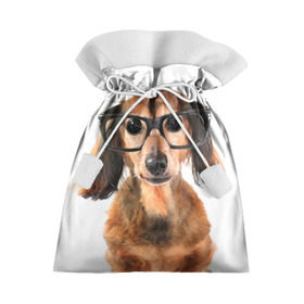 Подарочный 3D мешок с принтом Собака в очках в Кировске, 100% полиэстер | Размер: 29*39 см | Тематика изображения на принте: домашнее | животное | очки | пес | прикол | собака в очках | умный | ученый