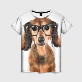 Женская футболка 3D с принтом Собака в очках в Кировске, 100% полиэфир ( синтетическое хлопкоподобное полотно) | прямой крой, круглый вырез горловины, длина до линии бедер | домашнее | животное | очки | пес | прикол | собака в очках | умный | ученый