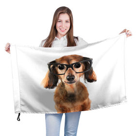 Флаг 3D с принтом Собака в очках в Кировске, 100% полиэстер | плотность ткани — 95 г/м2, размер — 67 х 109 см. Принт наносится с одной стороны | домашнее | животное | очки | пес | прикол | собака в очках | умный | ученый