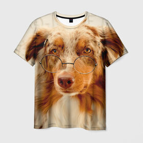 Мужская футболка 3D с принтом Собака в очках в Кировске, 100% полиэфир | прямой крой, круглый вырез горловины, длина до линии бедер | домашнее | животное | очки | пес | прикол | собака в очках | умный | ученый