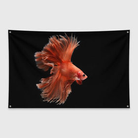 Флаг-баннер с принтом Бойцовая рыбка в Кировске, 100% полиэстер | размер 67 х 109 см, плотность ткани — 95 г/м2; по краям флага есть четыре люверса для крепления | аквариумная | бойцовая | красивый | плавники | рыба | рыбка | хвост | япаонская