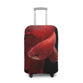 Чехол для чемодана 3D с принтом Бойцовая рыбка в Кировске, 86% полиэфир, 14% спандекс | двустороннее нанесение принта, прорези для ручек и колес | аквариумная | бойцовая | красивый | плавники | рыба | рыбка | хвост | япаонская