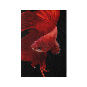 Обложка для паспорта матовая кожа с принтом Бойцовая рыбка в Кировске, натуральная матовая кожа | размер 19,3 х 13,7 см; прозрачные пластиковые крепления | аквариумная | бойцовая | красивый | плавники | рыба | рыбка | хвост | япаонская