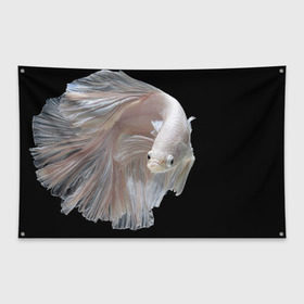 Флаг-баннер с принтом Бойцовая рыбка в Кировске, 100% полиэстер | размер 67 х 109 см, плотность ткани — 95 г/м2; по краям флага есть четыре люверса для крепления | аквариумная | бойцовая | красивый | плавники | рыба | рыбка | хвост | япаонская