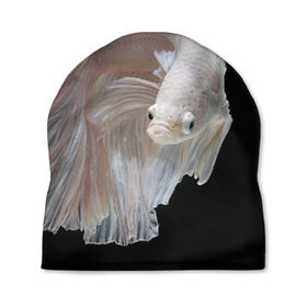 Шапка 3D с принтом Бойцовая рыбка в Кировске, 100% полиэстер | универсальный размер, печать по всей поверхности изделия | аквариумная | бойцовая | красивый | плавники | рыба | рыбка | хвост | япаонская