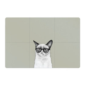 Магнитный плакат 3Х2 с принтом Кот - хипстер в Кировске, Полимерный материал с магнитным слоем | 6 деталей размером 9*9 см | cat | hipster | кот | кошка | хипстер