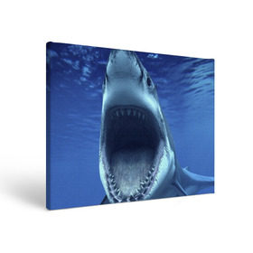 Холст прямоугольный с принтом Белая акула в Кировске, 100% ПВХ |  | shark | море | синий