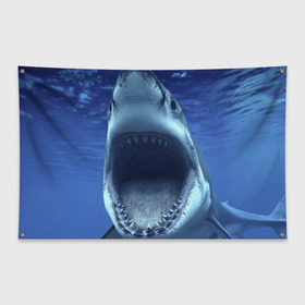 Флаг-баннер с принтом Белая акула в Кировске, 100% полиэстер | размер 67 х 109 см, плотность ткани — 95 г/м2; по краям флага есть четыре люверса для крепления | shark | море | синий