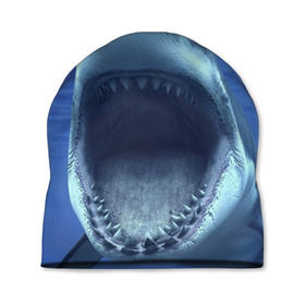 Шапка 3D с принтом Белая акула в Кировске, 100% полиэстер | универсальный размер, печать по всей поверхности изделия | shark | море | синий