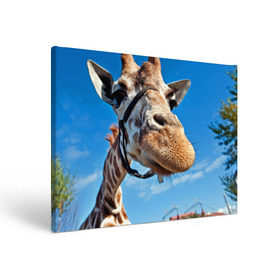 Холст прямоугольный с принтом Прикольный жираф в Кировске, 100% ПВХ |  | Тематика изображения на принте: африка | животное | жираф | небо | природа