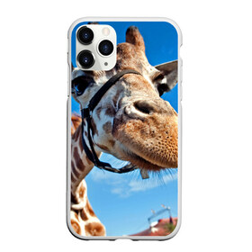 Чехол для iPhone 11 Pro Max матовый с принтом Прикольный жираф в Кировске, Силикон |  | африка | животное | жираф | небо | природа
