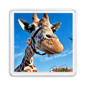 Магнит 55*55 с принтом Прикольный жираф в Кировске, Пластик | Размер: 65*65 мм; Размер печати: 55*55 мм | Тематика изображения на принте: африка | животное | жираф | небо | природа
