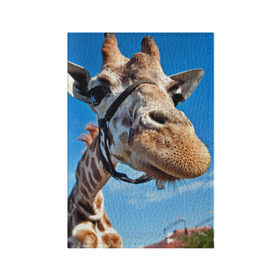 Обложка для паспорта матовая кожа с принтом Прикольный жираф в Кировске, натуральная матовая кожа | размер 19,3 х 13,7 см; прозрачные пластиковые крепления | Тематика изображения на принте: африка | животное | жираф | небо | природа