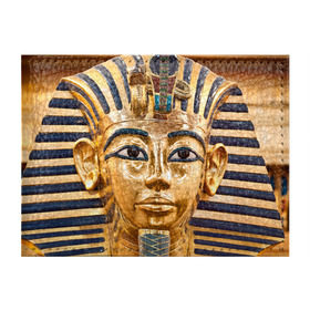 Обложка для студенческого билета с принтом Фараон в Кировске, натуральная кожа | Размер: 11*8 см; Печать на всей внешней стороне | египет | фараон
