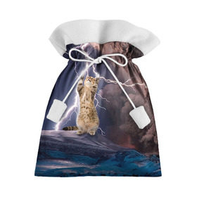 Подарочный 3D мешок с принтом Кот и молния в Кировске, 100% полиэстер | Размер: 29*39 см | буря | гроза | кот | котенок | молния | облака