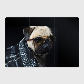 Магнитный плакат 3Х2 с принтом Бульдог в очках в Кировске, Полимерный материал с магнитным слоем | 6 деталей размером 9*9 см | Тематика изображения на принте: бульдог в очках | домашнее | животное | клепки | кожа | металлист | очки | пес | прикол | рокер | собака | умный | ученый | французский