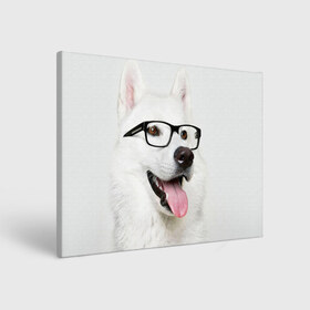 Холст прямоугольный с принтом Собака в очках в Кировске, 100% ПВХ |  | домашнее | животное | очки | пес | прикол | собака в очках | умный | ученый