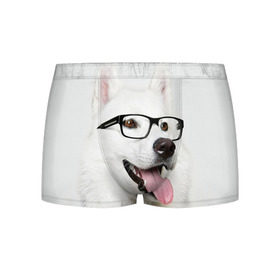 Мужские трусы 3D с принтом Собака в очках в Кировске, 50% хлопок, 50% полиэстер | классическая посадка, на поясе мягкая тканевая резинка | домашнее | животное | очки | пес | прикол | собака в очках | умный | ученый