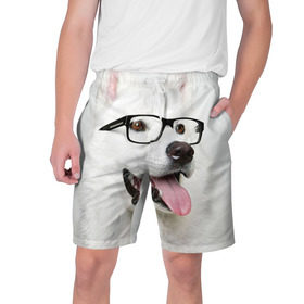 Мужские шорты 3D с принтом Собака в очках в Кировске,  полиэстер 100% | прямой крой, два кармана без застежек по бокам. Мягкая трикотажная резинка на поясе, внутри которой широкие завязки. Длина чуть выше колен | Тематика изображения на принте: домашнее | животное | очки | пес | прикол | собака в очках | умный | ученый