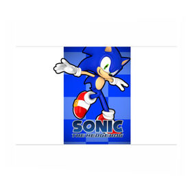 Бумага для упаковки 3D с принтом Sonic The-Hedgehog в Кировске, пластик и полированная сталь | круглая форма, металлическое крепление в виде кольца | sega sonic
