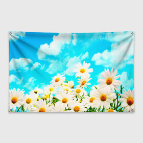 Флаг-баннер с принтом Ромашки в Кировске, 100% полиэстер | размер 67 х 109 см, плотность ткани — 95 г/м2; по краям флага есть четыре люверса для крепления | весна | лето