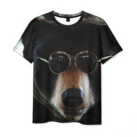 Мужская футболка 3D с принтом Медведь в очках в Кировске, 100% полиэфир | прямой крой, круглый вырез горловины, длина до линии бедер | животное | медведь | новая | очки | природа | стильная