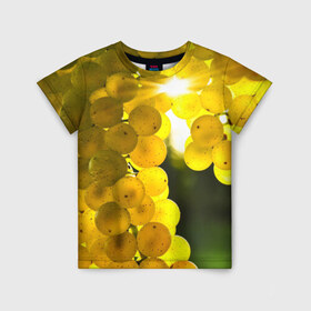 Детская футболка 3D с принтом Виноград в Кировске, 100% гипоаллергенный полиэфир | прямой крой, круглый вырез горловины, длина до линии бедер, чуть спущенное плечо, ткань немного тянется | виноград | виноградник | лоза | лучи | солнце | ягоды
