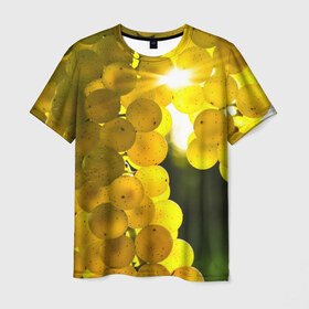 Мужская футболка 3D с принтом Виноград в Кировске, 100% полиэфир | прямой крой, круглый вырез горловины, длина до линии бедер | виноград | виноградник | лоза | лучи | солнце | ягоды