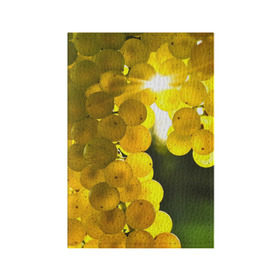 Обложка для паспорта матовая кожа с принтом Виноград в Кировске, натуральная матовая кожа | размер 19,3 х 13,7 см; прозрачные пластиковые крепления | Тематика изображения на принте: виноград | виноградник | лоза | лучи | солнце | ягоды