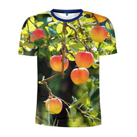 Мужская футболка 3D спортивная с принтом Яблоки в Кировске, 100% полиэстер с улучшенными характеристиками | приталенный силуэт, круглая горловина, широкие плечи, сужается к линии бедра | дерево | зелень | красные | сад