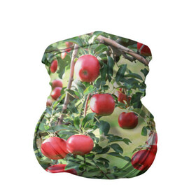 Бандана-труба 3D с принтом Яблоки в Кировске, 100% полиэстер, ткань с особыми свойствами — Activecool | плотность 150‒180 г/м2; хорошо тянется, но сохраняет форму | дерево | зелень | красные | сад | яблоки