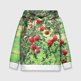 Детская толстовка 3D с принтом Яблоки в Кировске, 100% полиэстер | двухслойный капюшон со шнурком для регулировки, мягкие манжеты на рукавах и по низу толстовки, спереди карман-кенгуру с мягким внутренним слоем | дерево | зелень | красные | сад | яблоки