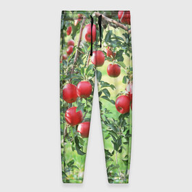 Женские брюки 3D с принтом Яблоки в Кировске, полиэстер 100% | прямой крой, два кармана без застежек по бокам, с мягкой трикотажной резинкой на поясе и по низу штанин. В поясе для дополнительного комфорта — широкие завязки | дерево | зелень | красные | сад | яблоки