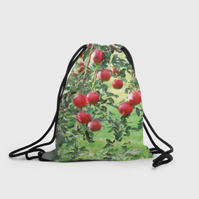 Рюкзак-мешок 3D с принтом Яблоки в Кировске, 100% полиэстер | плотность ткани — 200 г/м2, размер — 35 х 45 см; лямки — толстые шнурки, застежка на шнуровке, без карманов и подкладки | дерево | зелень | красные | сад | яблоки