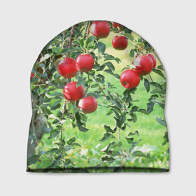 Шапка 3D с принтом Яблоки в Кировске, 100% полиэстер | универсальный размер, печать по всей поверхности изделия | дерево | зелень | красные | сад | яблоки