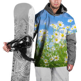Накидка на куртку 3D с принтом Ромашки в Кировске, 100% полиэстер |  | Тематика изображения на принте: луг | цветы