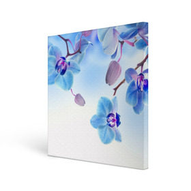 Холст квадратный с принтом Голубая орхидея в Кировске, 100% ПВХ |  | голубая орхидея | красота | орхидеи | природа | цветок | цветочек | цветы