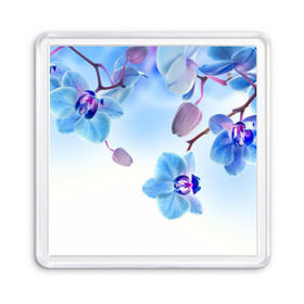 Магнит 55*55 с принтом Голубая орхидея в Кировске, Пластик | Размер: 65*65 мм; Размер печати: 55*55 мм | голубая орхидея | красота | орхидеи | природа | цветок | цветочек | цветы