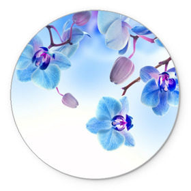 Коврик круглый с принтом Голубая орхидея в Кировске, резина и полиэстер | круглая форма, изображение наносится на всю лицевую часть | голубая орхидея | красота | орхидеи | природа | цветок | цветочек | цветы