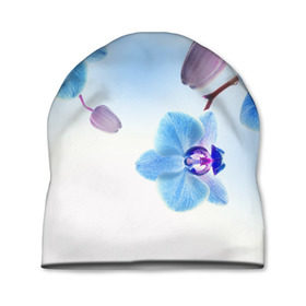 Шапка 3D с принтом Голубая орхидея в Кировске, 100% полиэстер | универсальный размер, печать по всей поверхности изделия | голубая орхидея | красота | орхидеи | природа | цветок | цветочек | цветы