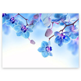 Поздравительная открытка с принтом Голубая орхидея в Кировске, 100% бумага | плотность бумаги 280 г/м2, матовая, на обратной стороне линовка и место для марки
 | Тематика изображения на принте: голубая орхидея | красота | орхидеи | природа | цветок | цветочек | цветы