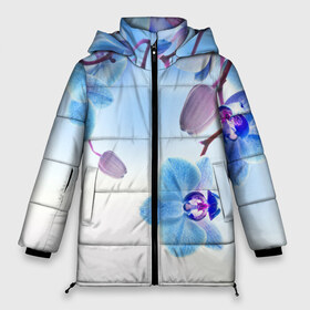 Женская зимняя куртка 3D с принтом Голубая орхидея в Кировске, верх — 100% полиэстер; подкладка — 100% полиэстер; утеплитель — 100% полиэстер | длина ниже бедра, силуэт Оверсайз. Есть воротник-стойка, отстегивающийся капюшон и ветрозащитная планка. 

Боковые карманы с листочкой на кнопках и внутренний карман на молнии | голубая орхидея | красота | орхидеи | природа | цветок | цветочек | цветы