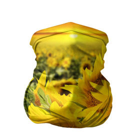 Бандана-труба 3D с принтом Подсолнухи в Кировске, 100% полиэстер, ткань с особыми свойствами — Activecool | плотность 150‒180 г/м2; хорошо тянется, но сохраняет форму | желтый | солнце | цветок | яркий
